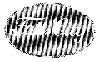 FALLS CITY logo