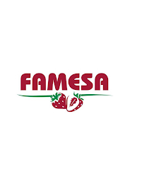 FAMESA logo