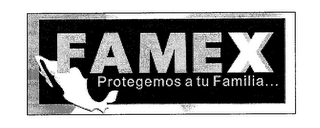 FAMEX PROTEGEMOS A TU FAMILIA... logo