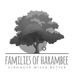 FAMILIES OF HARAMBEE STRONGER. WISER. BETTER logo