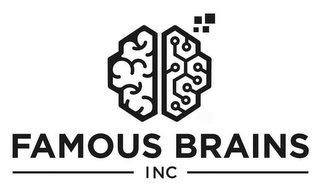 FAMOUS BRAINS INC logo