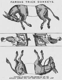 FAMOUS TRICK DONKEYS. CUT ON THE LINES AND LAY THE THREE PIECES SO AS TO SHOW THE JOCKEYS RACING. logo