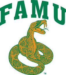 FAMU logo