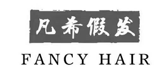 FANCY HAIR logo