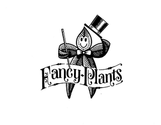 FANCY PLANTS