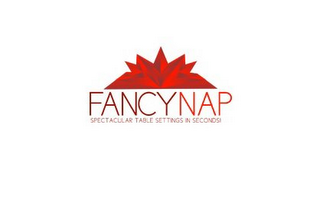 FANCYNAP SPECTACULAR TABLE SETTINGS IN SECONDS! logo