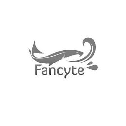 FANCYTE logo