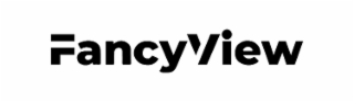 FANCYVIEW logo