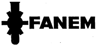 FANEM logo