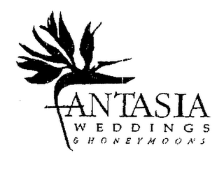 FANTASIA WEDDINGS & HONEYMOONS logo