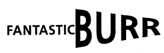FANTASTIC BURR logo