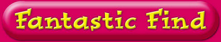 FANTASTIC FIND logo