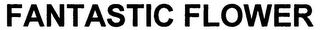 FANTASTIC FLOWER logo
