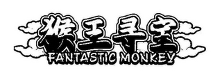 FANTASTIC MONKEY logo