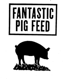FANTASTIC PIG FEED logo