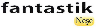 FANTASTIK NESE logo