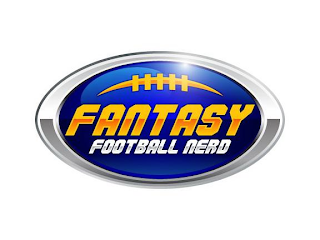 FANTASY FOOTBALL NERD logo