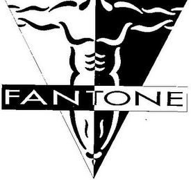 FANTONE logo
