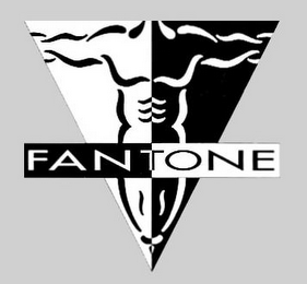 FANTONE logo