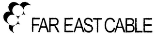 FAR EAST CABLE logo