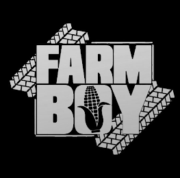 FARM BOY logo