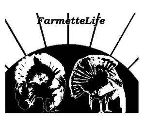 FARMETTELIFE logo