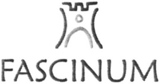 FASCINUM logo