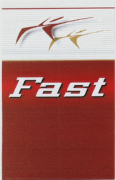 FAST logo
