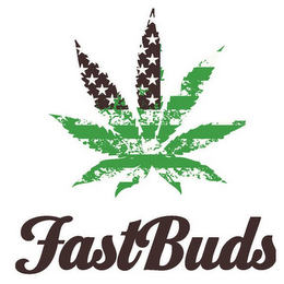 FAST BUDS logo