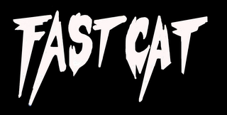 FAST CAT logo