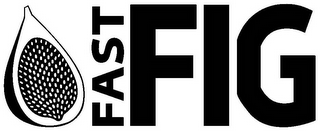 FAST FIG logo
