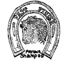 FAST FINISH PREMIUM SHAMPOO logo