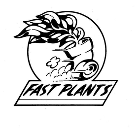 FAST PLANTS logo
