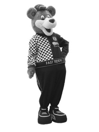 FAST TEDDY 13 logo