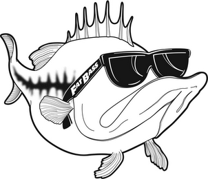 FAT BASS logo