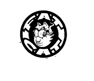 FAT CAT logo