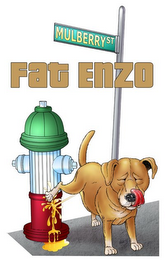 FAT ENZO MULBERRY ST logo