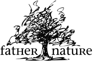 FATHER NATURE logo