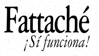 FATTACHE SI FUNCIONA! logo