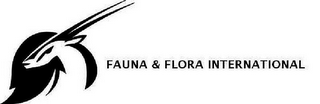 FAUNA & FLORA INTERNATIONAL logo