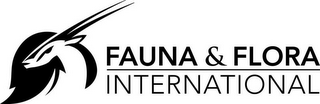 FAUNA & FLORA INTERNATIONAL logo