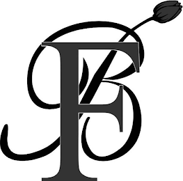 FB logo