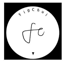 FC FIGCHUI logo