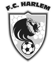 F.C. HARLEM logo
