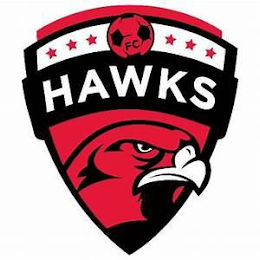 FC HAWKS logo