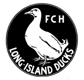 FCH LONG ISLAND DUCKS logo