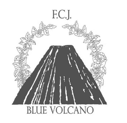 F.C.J. BLUE VOLCANO logo