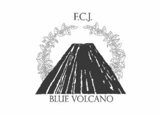 F.C.J. BLUE VOLCANO logo