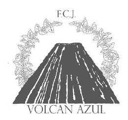 F.C.J. VOLCAN AZUL logo