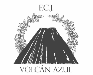 F.C.J. VOLCÁN AZUL logo